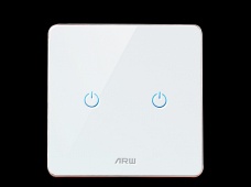 国标 Zigbee智能二位触摸墙壁开关触控开关86型（零火版） WZB-0862S